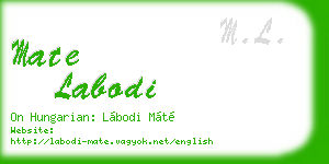mate labodi business card