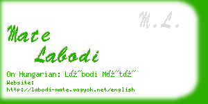 mate labodi business card